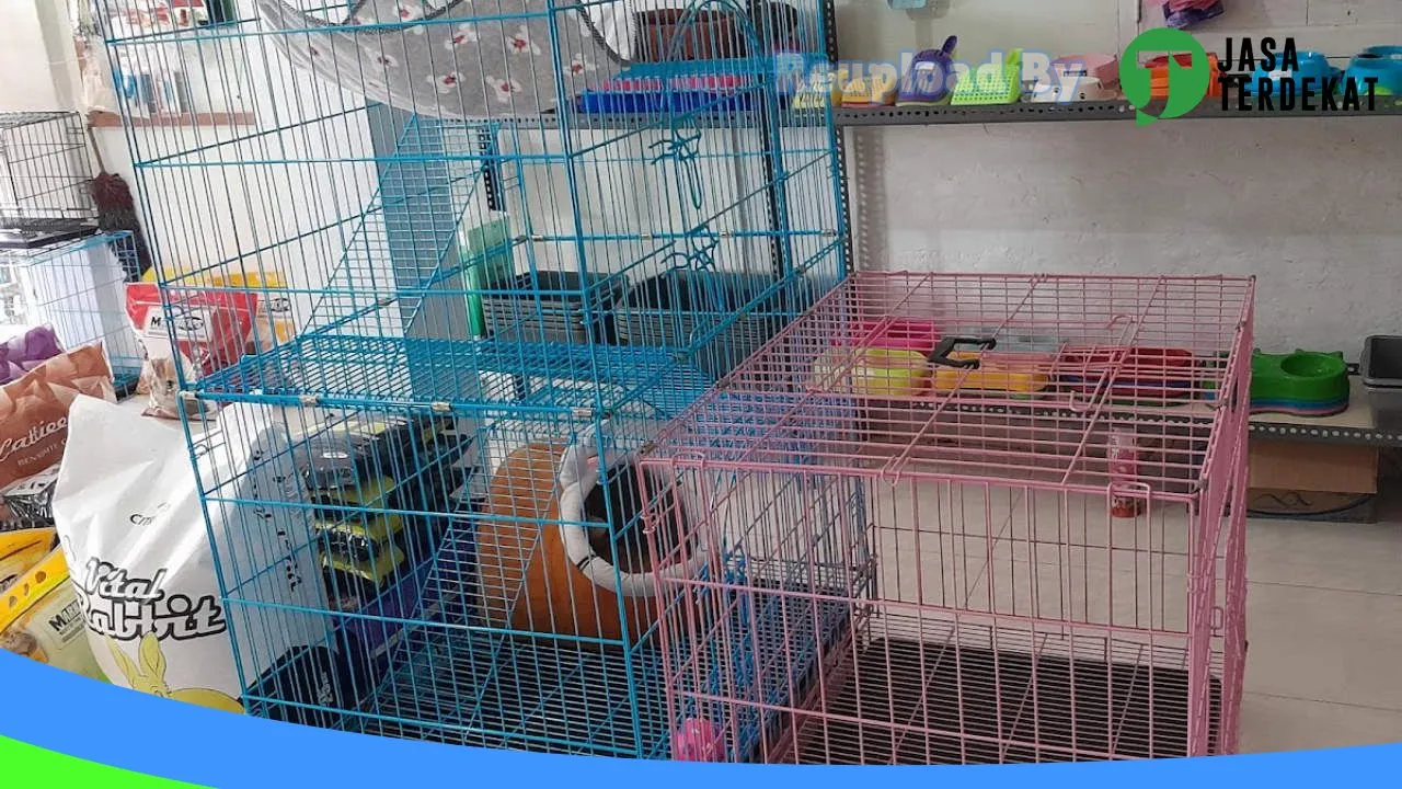 Gambar Kolaka Pet Shop Bombana di Buton, Sulawesi Tenggara ke 1