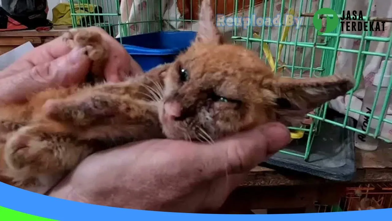 Gambar AMTI Petshop di Klaten, Jawa Tengah ke 1