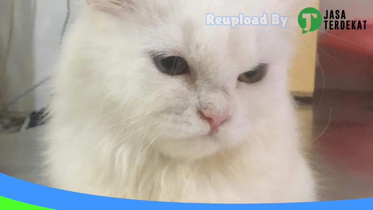 Gambar Petshop Satwa Kita di Labuhanbatu Selatan, Sumatera Utara ke 3