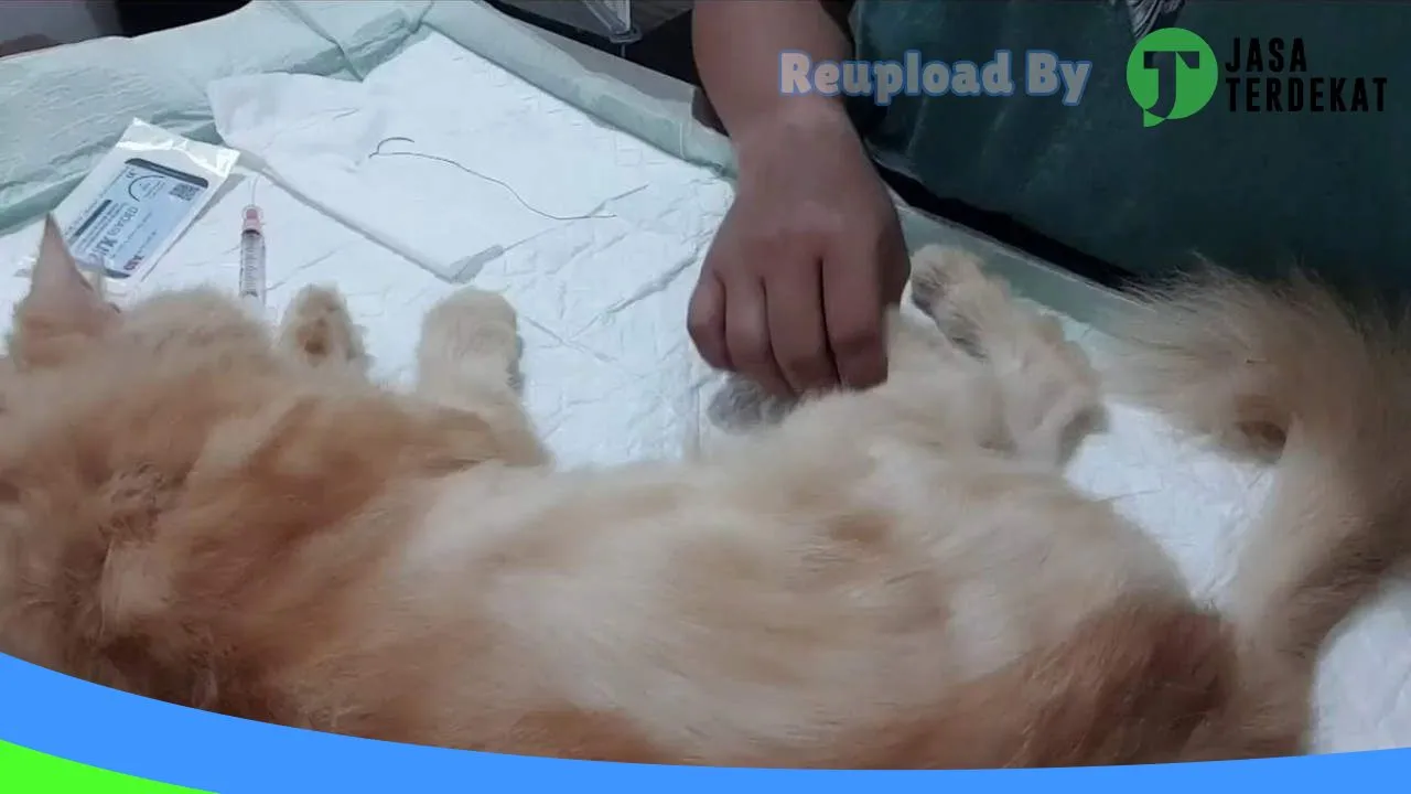 Gambar RiyanQa Petshop & Care di Aceh Tenggara, Aceh ke 1