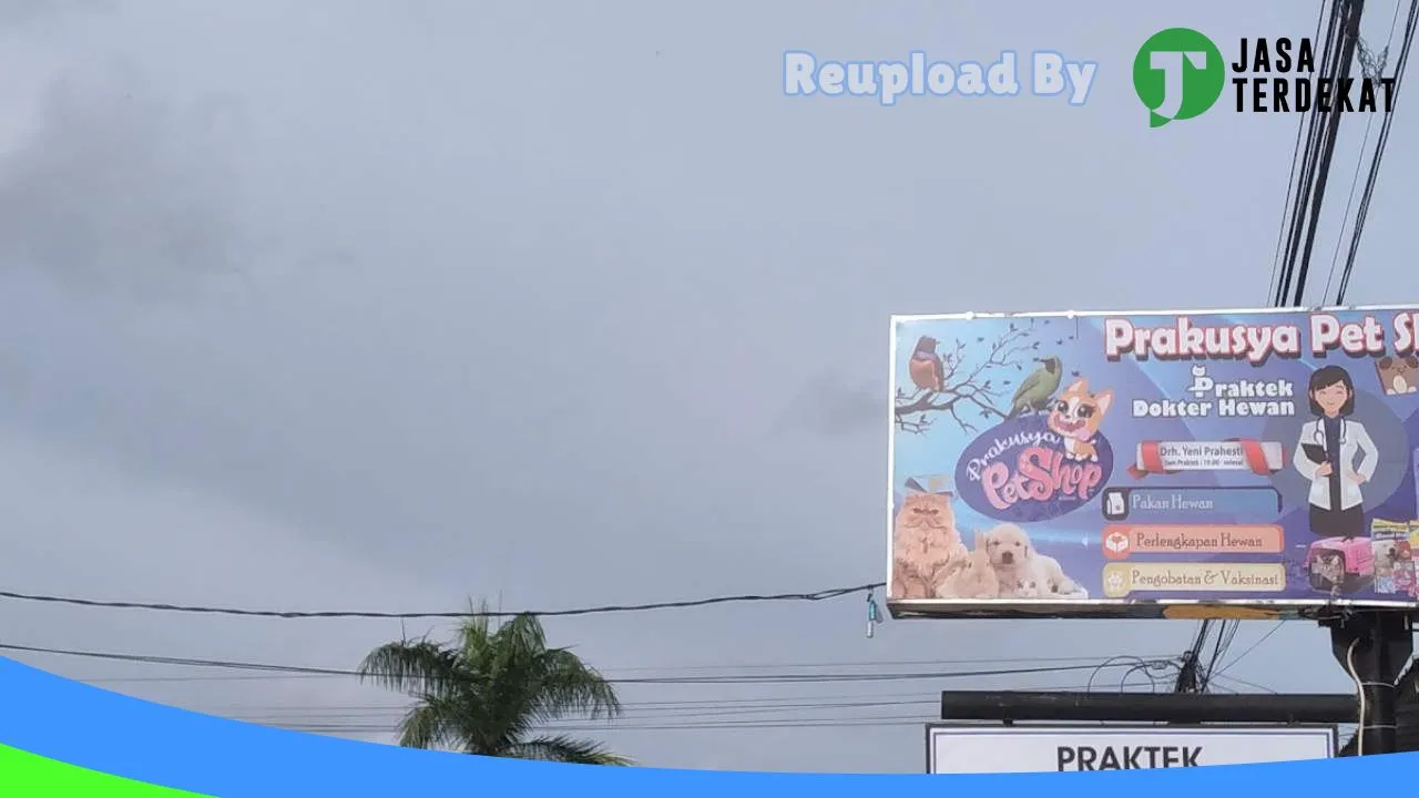 Gambar Prakusya Petshop di Murung Raya, Kalimantan Tengah ke 4