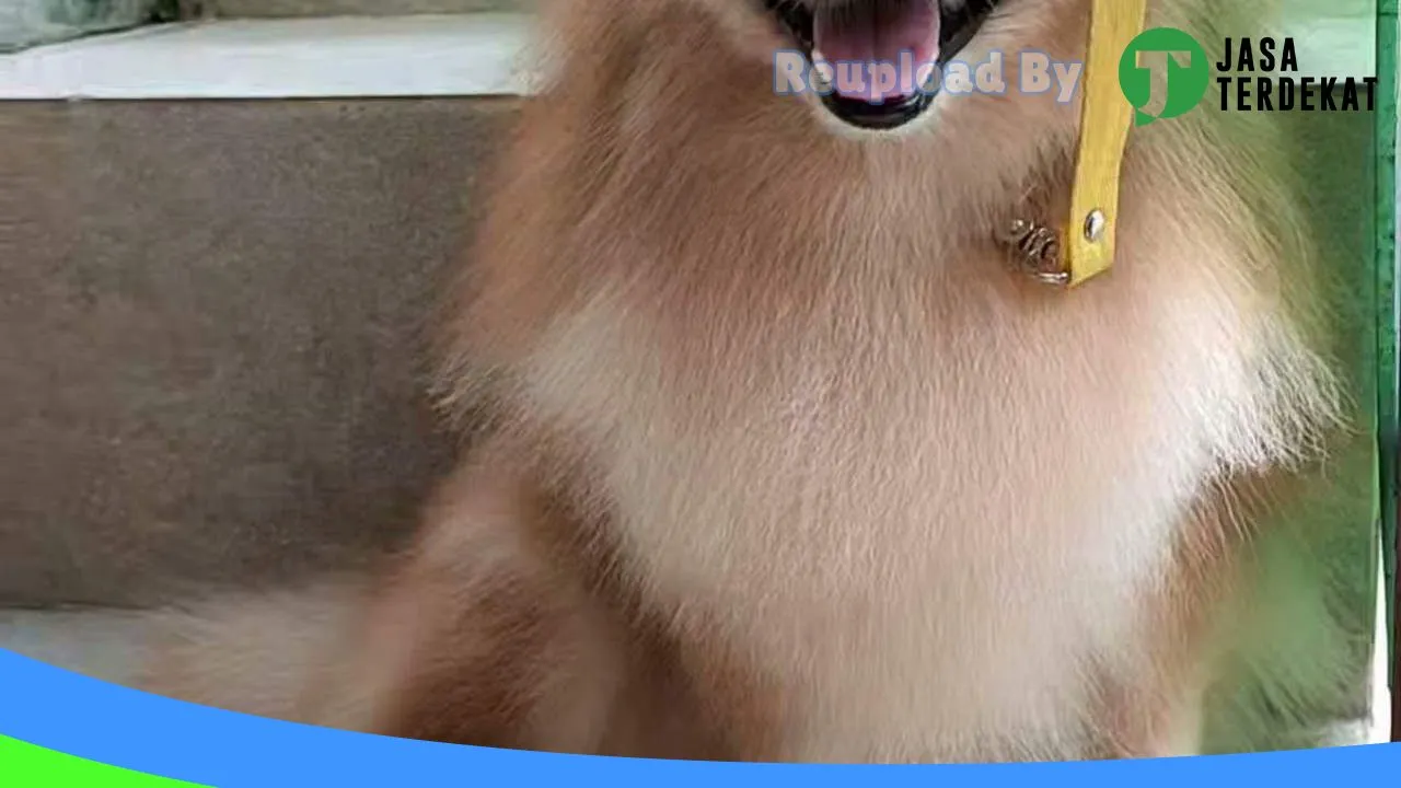 Gambar Diby Petshop And Grooming di Kulon Progo, DI Yogyakarta ke 3