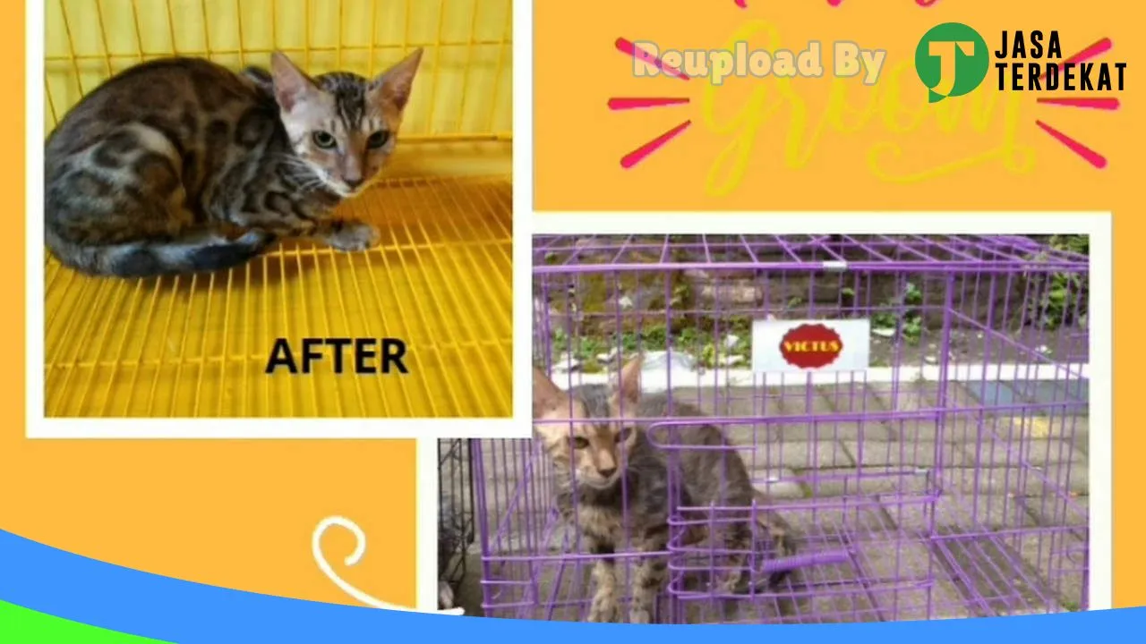 Gambar Graha Animal Pet Service – Drh. Atikka R Ningtyas di Tulungagung, Jawa Timur ke 3