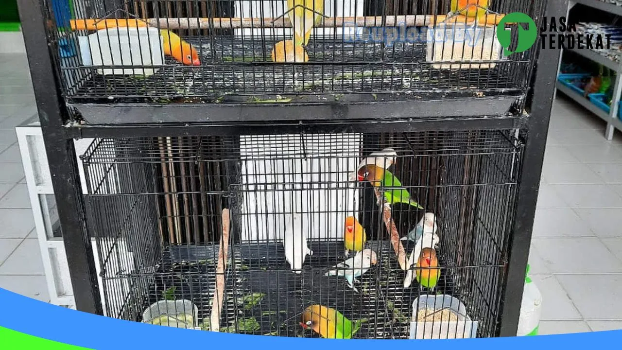 Gambar 86 Pet store di Aceh Barat, Aceh ke 2
