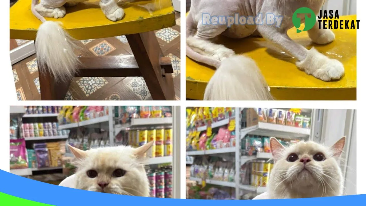 Gambar Moonella Petshop (Groming & Hotel) di Karanganyar, Jawa Tengah ke 2