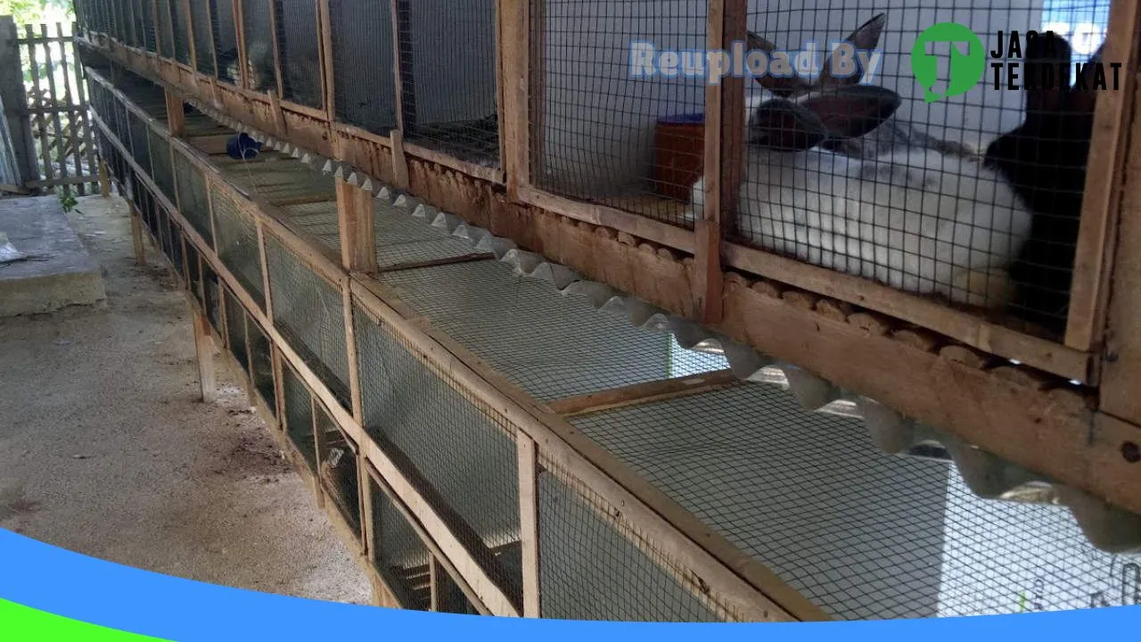 Gambar Rabbit Bonebolango di Bone Bolango, Gorontalo ke 3