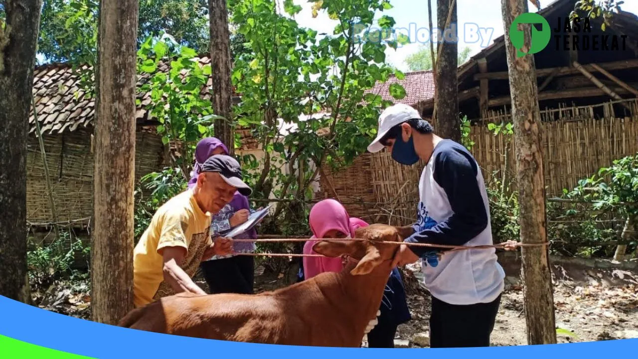 Gambar drh.Trino Yuniarta di Sumenep, Jawa Timur ke 1