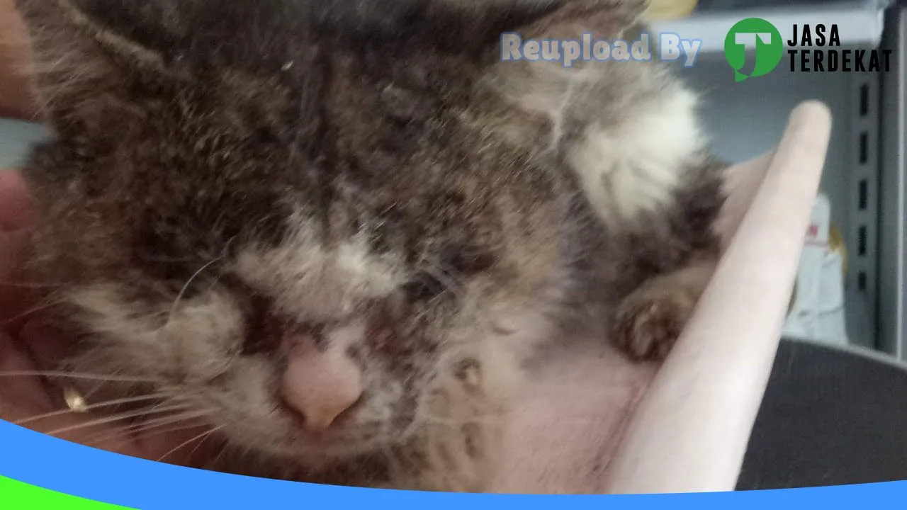 Gambar Fauna Petshop drh. Wiwik Idayanti di Jombang, Jawa Timur ke 2