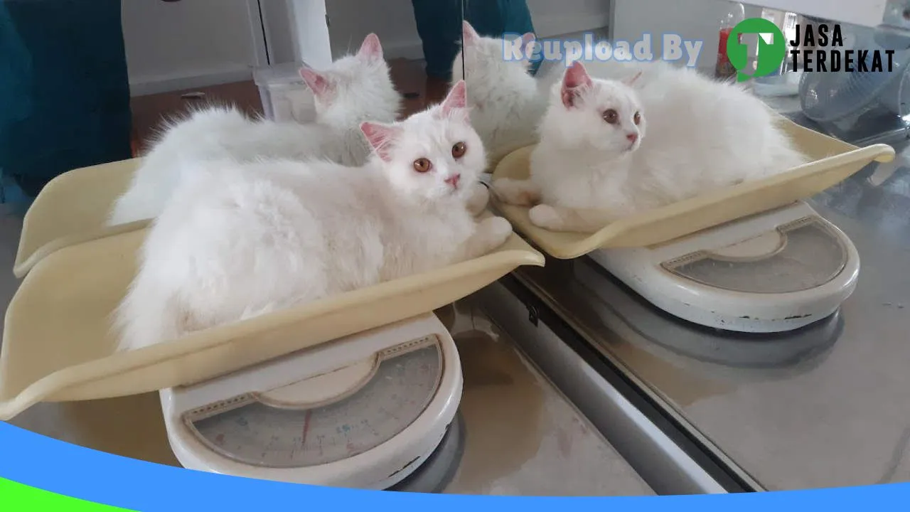 Gambar BINTANG SATWA Pamekasan di Pamekasan, Jawa Timur ke 1