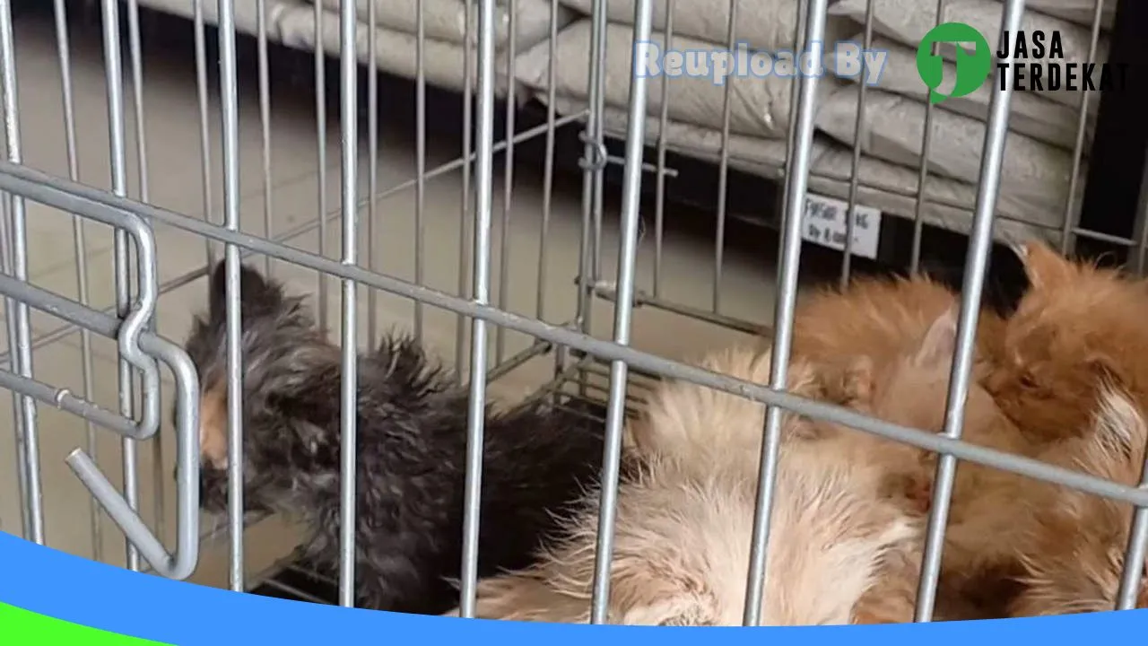 Gambar Luphhvet Care Petshop & Clinic di Tapanuli Selatan, Sumatera Utara ke 1