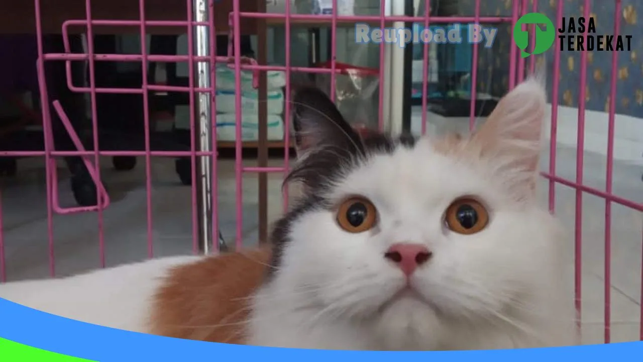 Gambar Praktek Dokter Hewan (Pringsewu Vet Clinic) di Pringsewu, Lampung ke 3