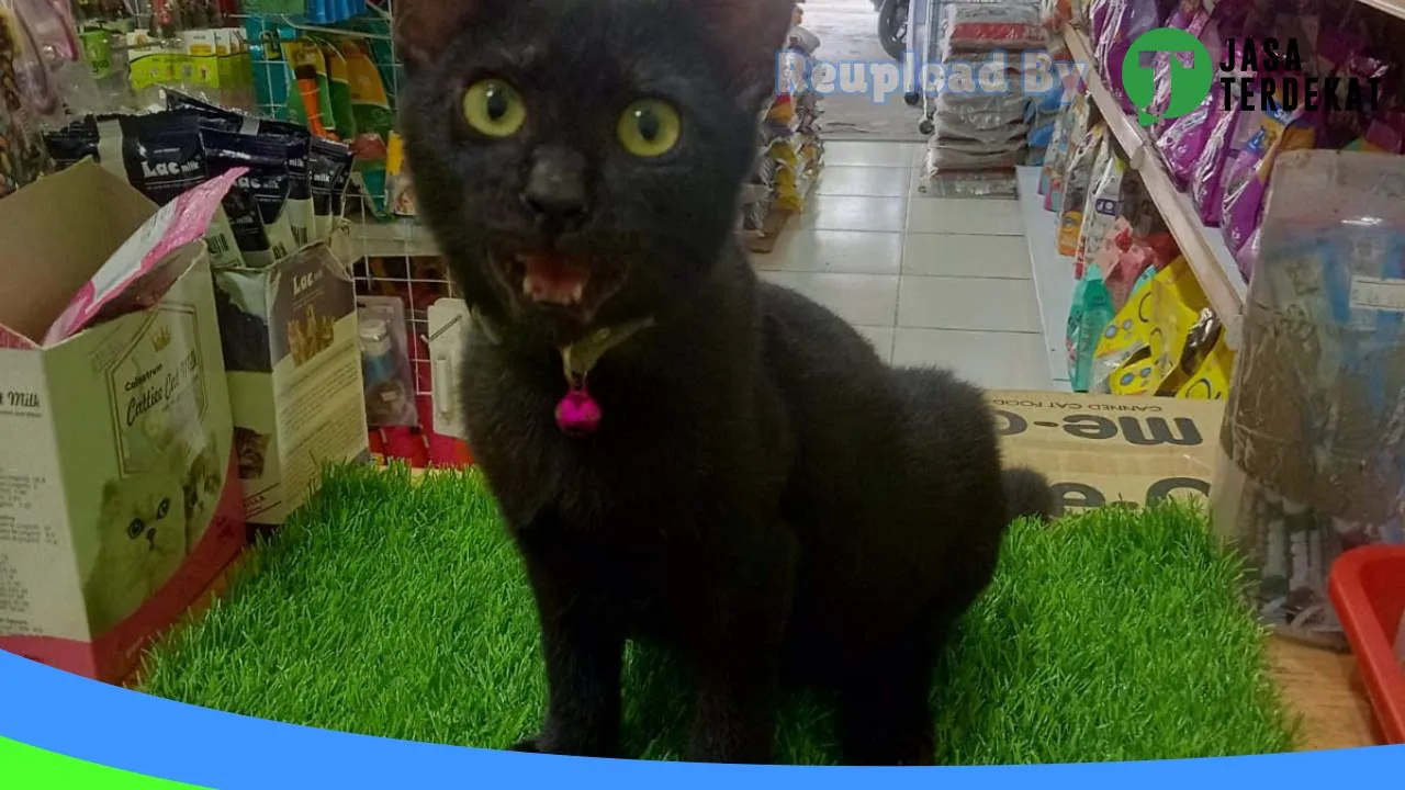 Gambar BOY MINI PETSHOP SIMPANG 10 BARABAI di Hulu Sungai Tengah, Kalimantan Selatan ke 1