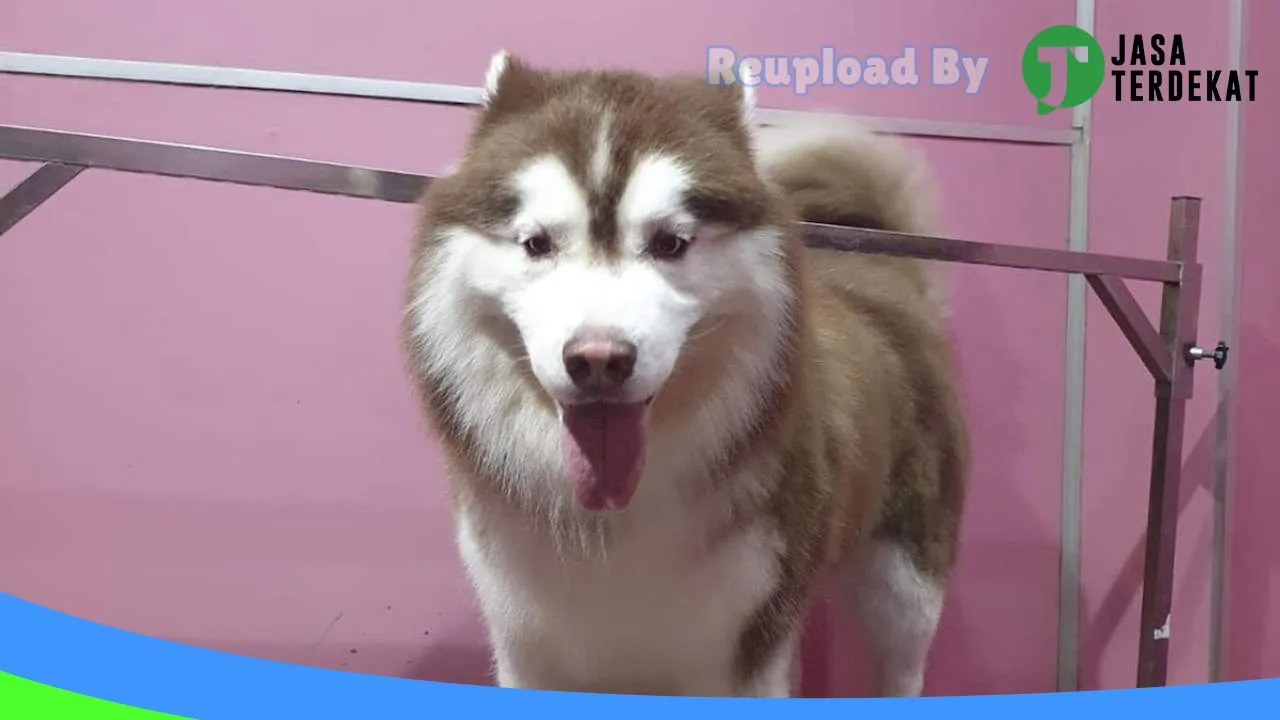 Gambar Pet House Tasikmalaya di Tasikmalaya, Jawa Barat ke 1