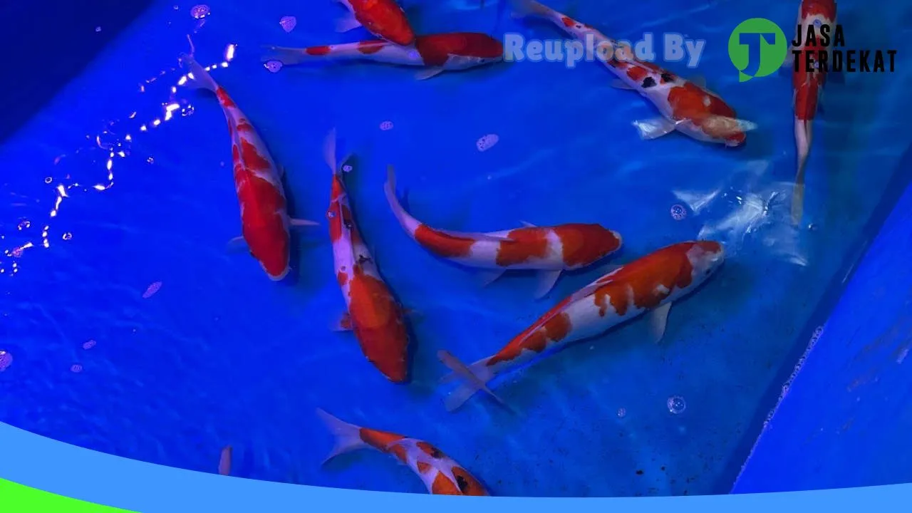 Gambar Trimax Aquatic di Tanjung Pinang, Kepulauan Riau ke 2