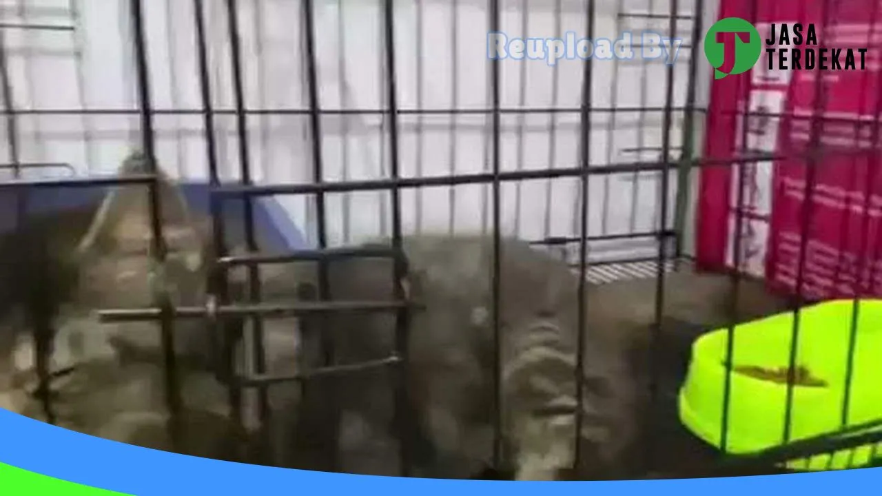 Gambar Permata Pet Care Gresik (Dokter Hewan & Petshop Lengkap) di Gresik, Jawa Timur ke 5