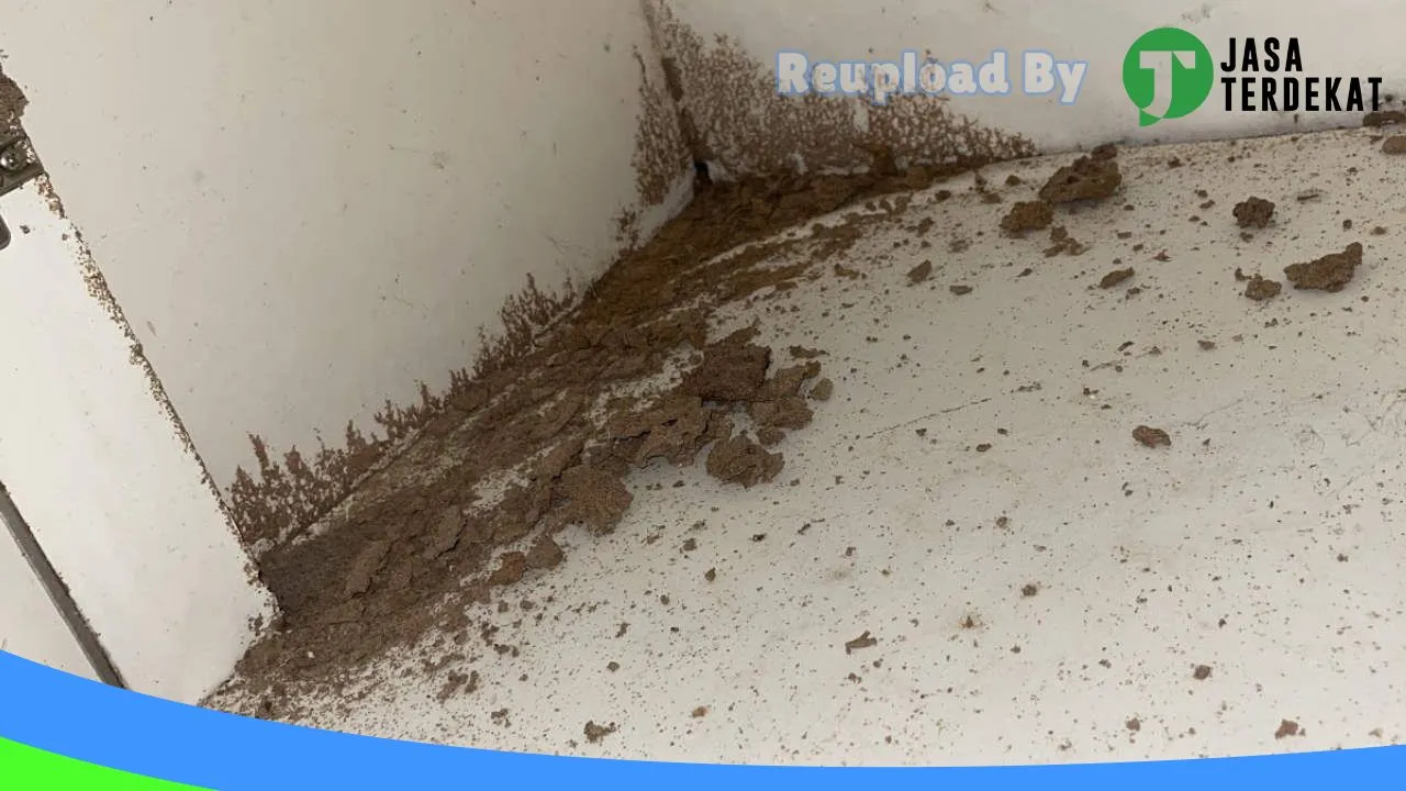 Gambar PT. Guna Agri Sejahtera – Gaspest Anti Rayap Disinfektan Palembang di Ogan Komering Ulu, Sumatera Selatan ke 5