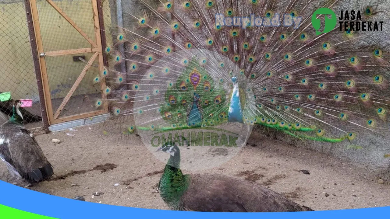 Gambar Omah Merak Kudus di Kudus, Jawa Tengah ke 1