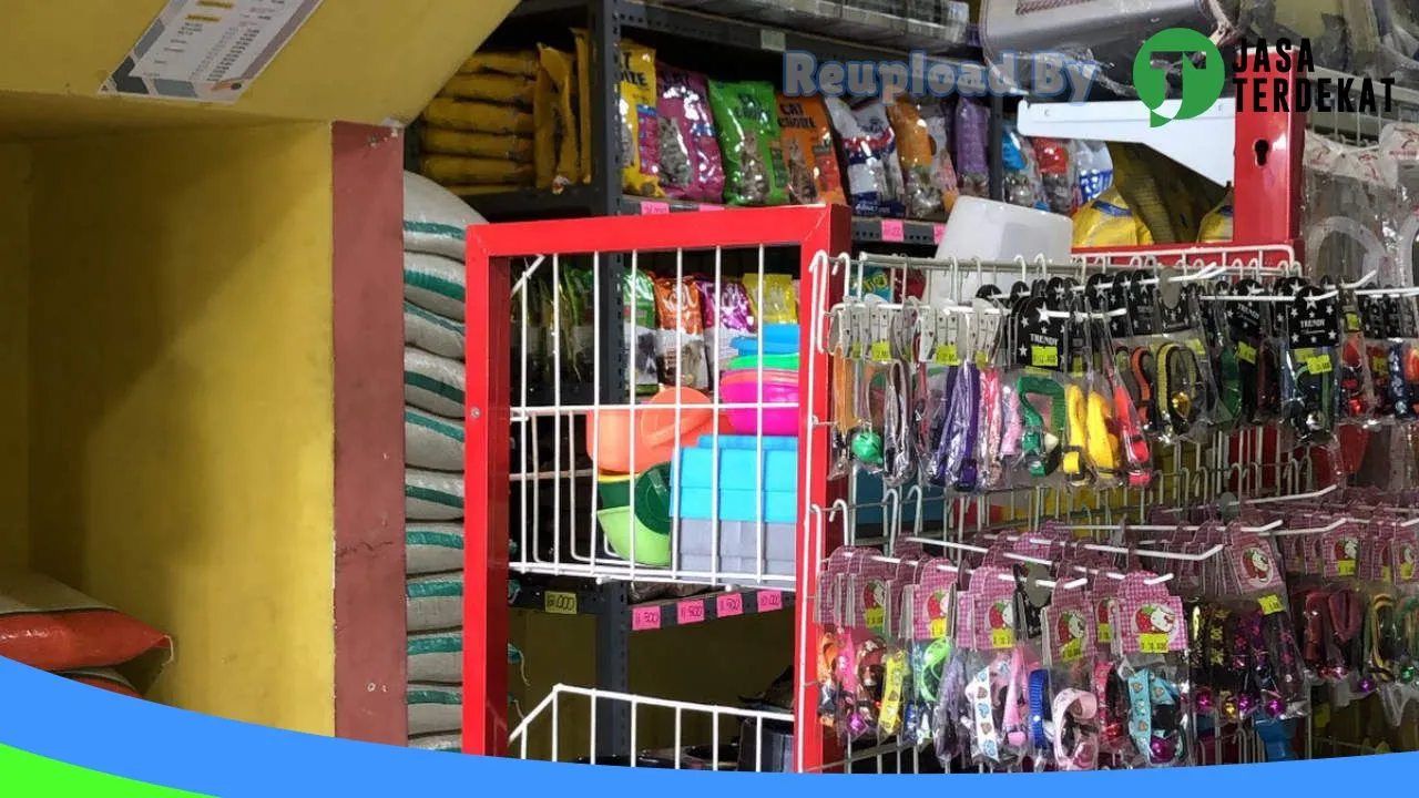 Gambar Monte Petshop Garum, Cat Hotel & Grooming Kucing di Kota Blitar, Jawa Timur ke 4