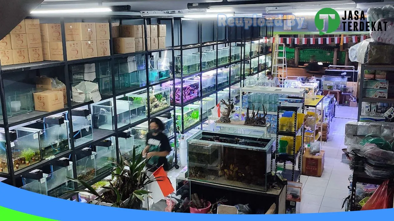 Gambar koe scape (koepang aquascape) di Kupang, Nusa Tenggara Timur ke 3