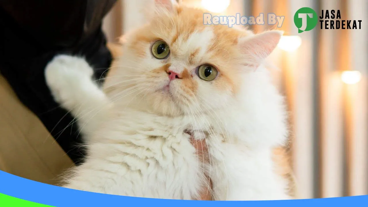 Gambar APB Antasari Pet Shop & Poultry Shop di Samarinda, Kalimantan Timur ke 3