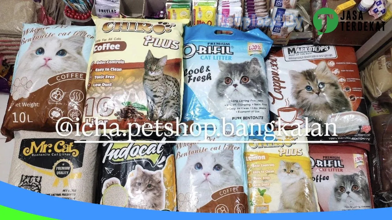 Gambar ICHA PETSHOP BANGKALAN di Bangkalan, Jawa Timur ke 1