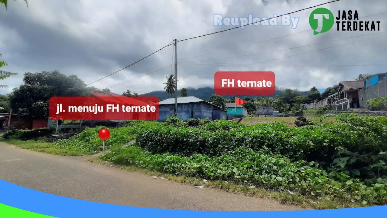 Gambar Fola Hamster ternate di Maluku Tengah, Maluku ke 1