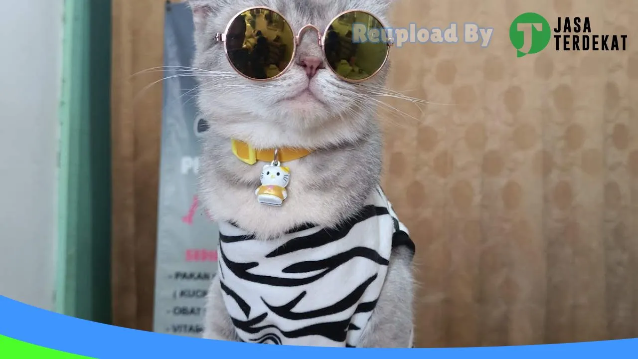 Gambar AnimalGallery Petshop di Tegal, Jawa Tengah ke 3