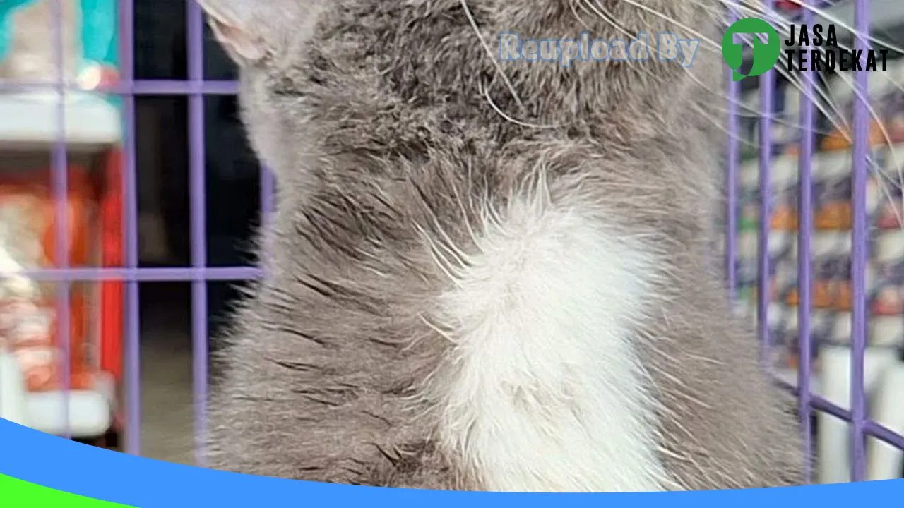 Gambar Wiby Petshop di Bandar Lampung, Lampung ke 1