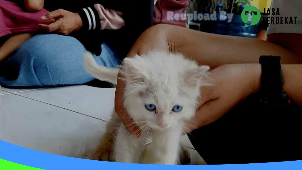 Gambar Cline Petshop & Grooming Hewan Purwakarta di Purwakarta, Jawa Barat ke 5