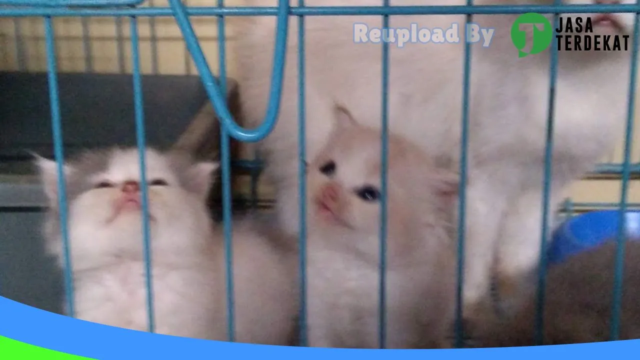 Gambar Maha Pet Shop di Tanah Bumbu, Kalimantan Selatan ke 1