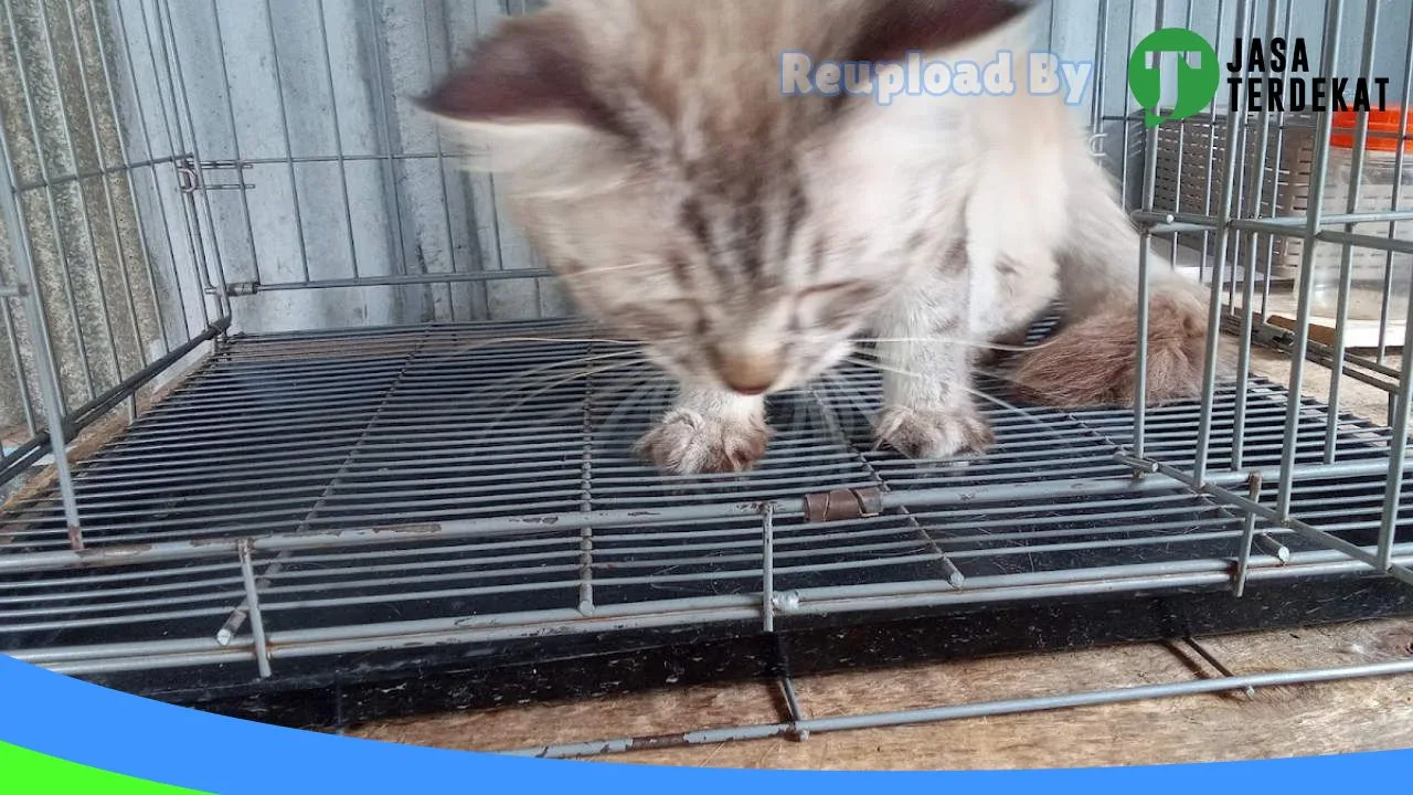 Gambar IZZAH PET CARE di Mandailing Natal, Sumatera Utara ke 2