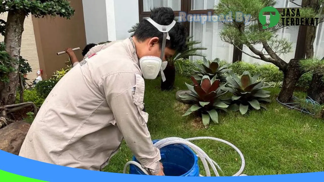 Gambar Nusantara Pest Depok Jasa Anti Rayap | Jasa Pest Control | Jasa Fogging Nyamuk | Basmi Tikus di Kota Depok, Jawa Barat ke 5