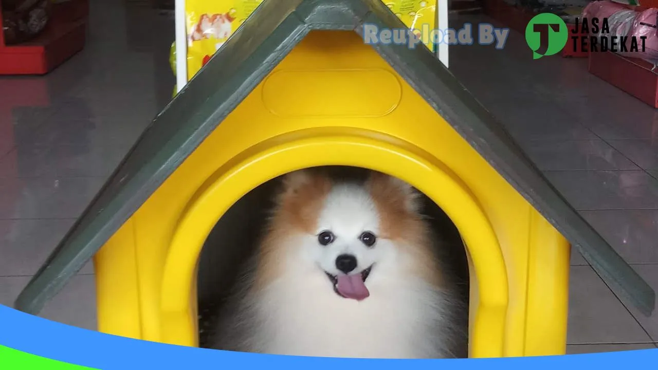 Gambar KD Pet Shop Lombok di Lombok Barat, Nusa Tenggara Barat ke 2