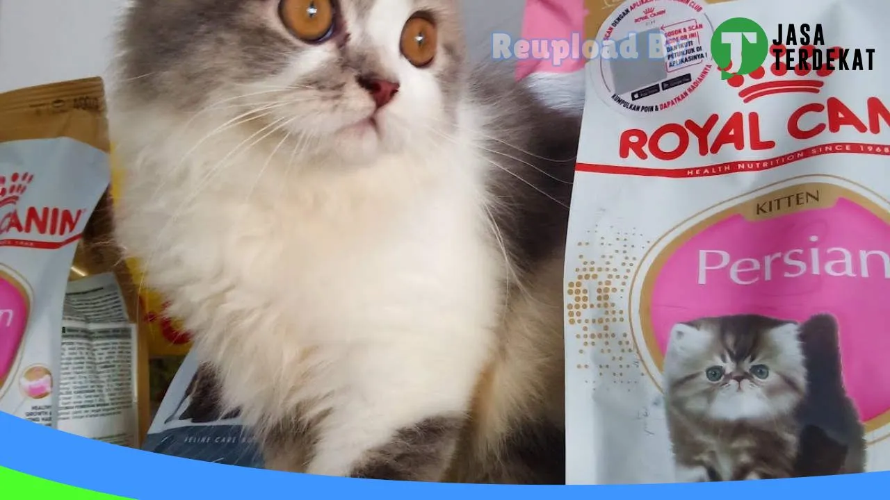 Gambar Chiro PetShop Prabumulih di Prabumulih, Sumatera Selatan ke 5