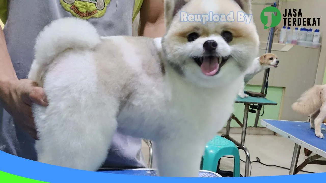 Gambar ABCDE Doggie Kingdom di Pontianak, Kalimantan Barat ke 4