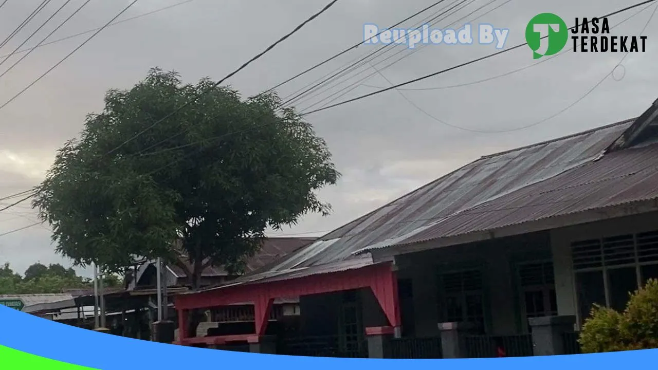 Gambar Alika petshop di Maluku Tengah, Maluku ke 1