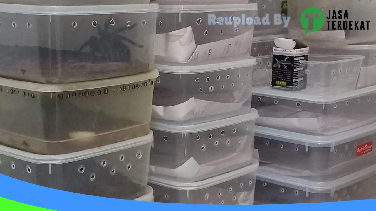 Gambar Lampung Exopets di Tulang Bawang, Lampung ke 2