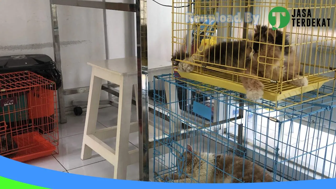 Gambar K – Praktek Dokter Hewan dan Petshop di Hulu Sungai Selatan, Kalimantan Selatan ke 1