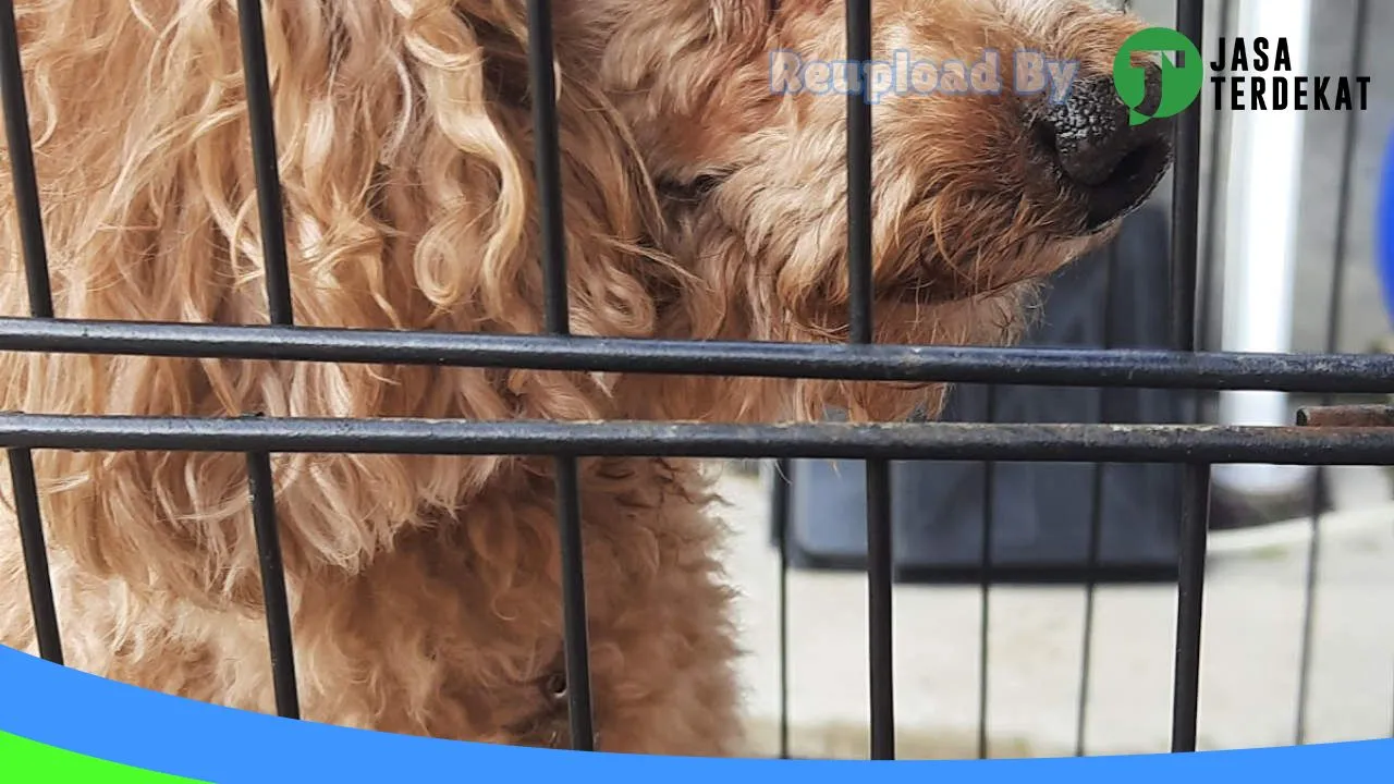 Gambar SIMPEL PETSHOP BATURAJA di Ogan Komering Ulu Selatan, Sumatera Selatan ke 2