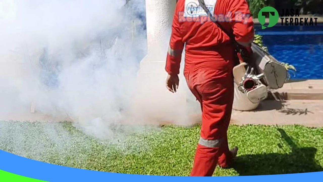 Gambar PestHunter Solusi Indonesia – Jasa Anti Rayap, Pest Control, Basmi Tikus, Basmi Hama, Fogging Nyamuk (Bergaransi) di Lebak, Banten ke 1