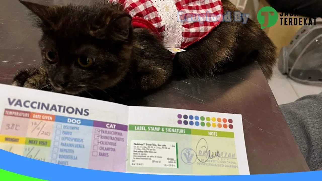 Gambar Klinik Hewan Malinau (Malinau Petcare) di Malinau, Kalimantan Utara ke 2