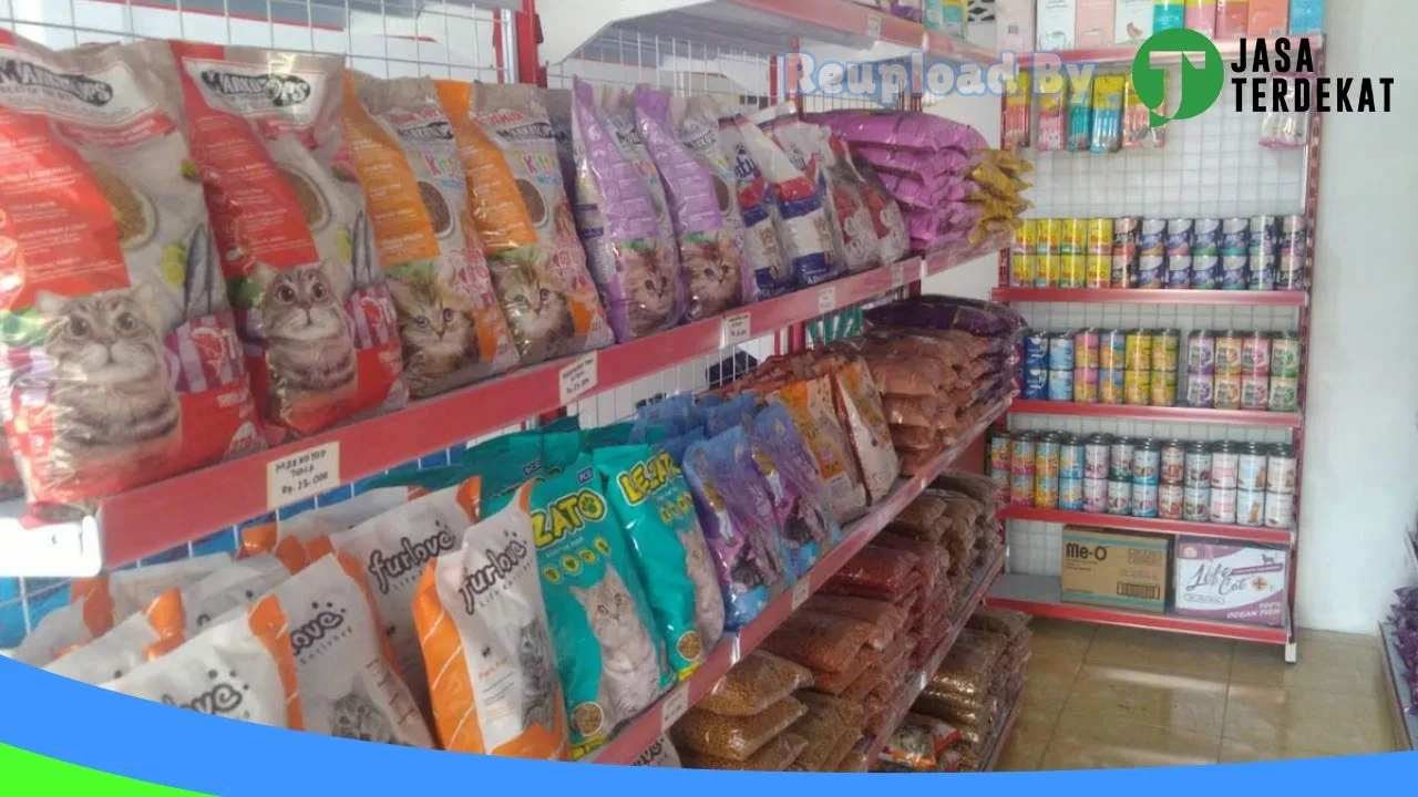 Gambar PEPI PETSHOP KLATEN di Klaten, Jawa Tengah ke 1