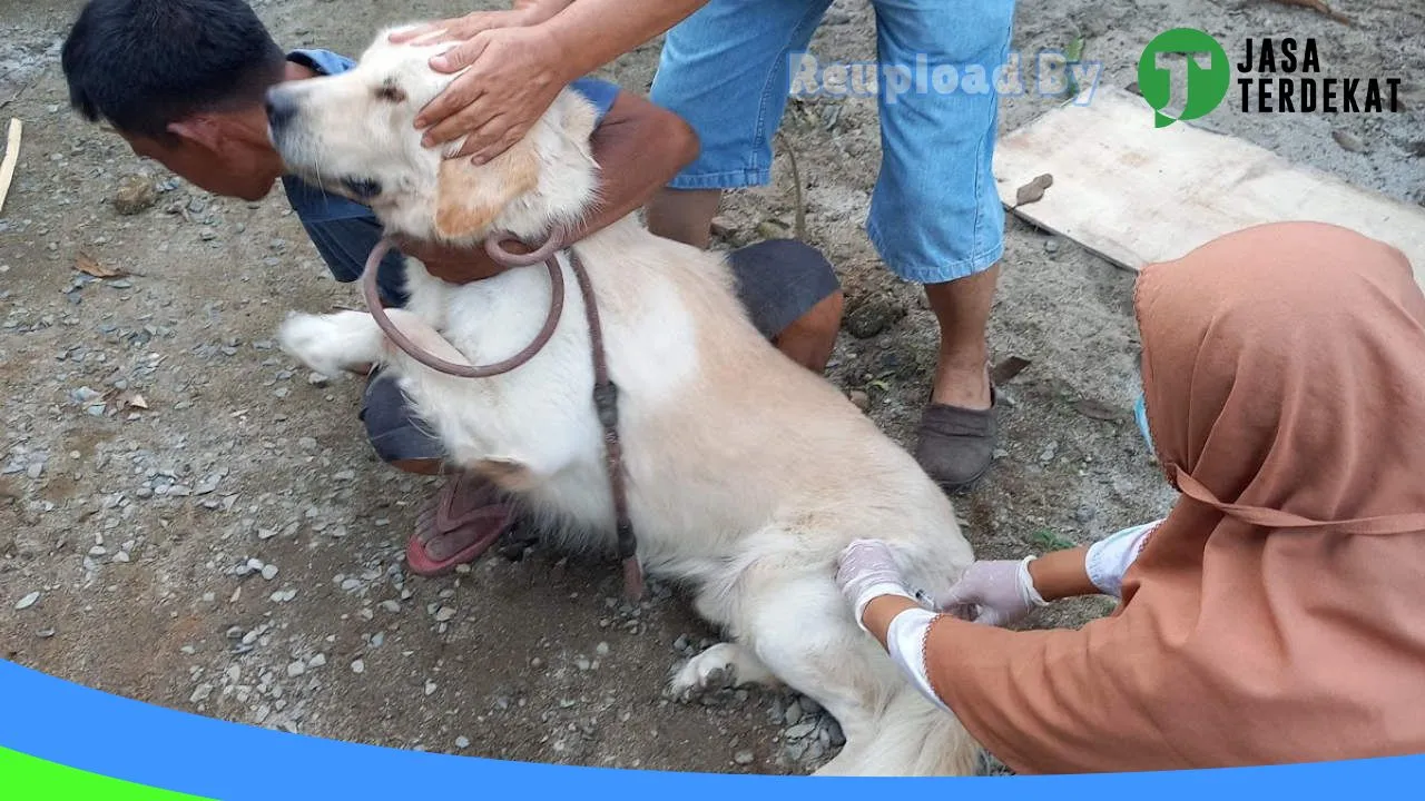 Gambar Dokter Hewan RnB Vet & Petshop di Batu Bara, Sumatera Utara ke 3