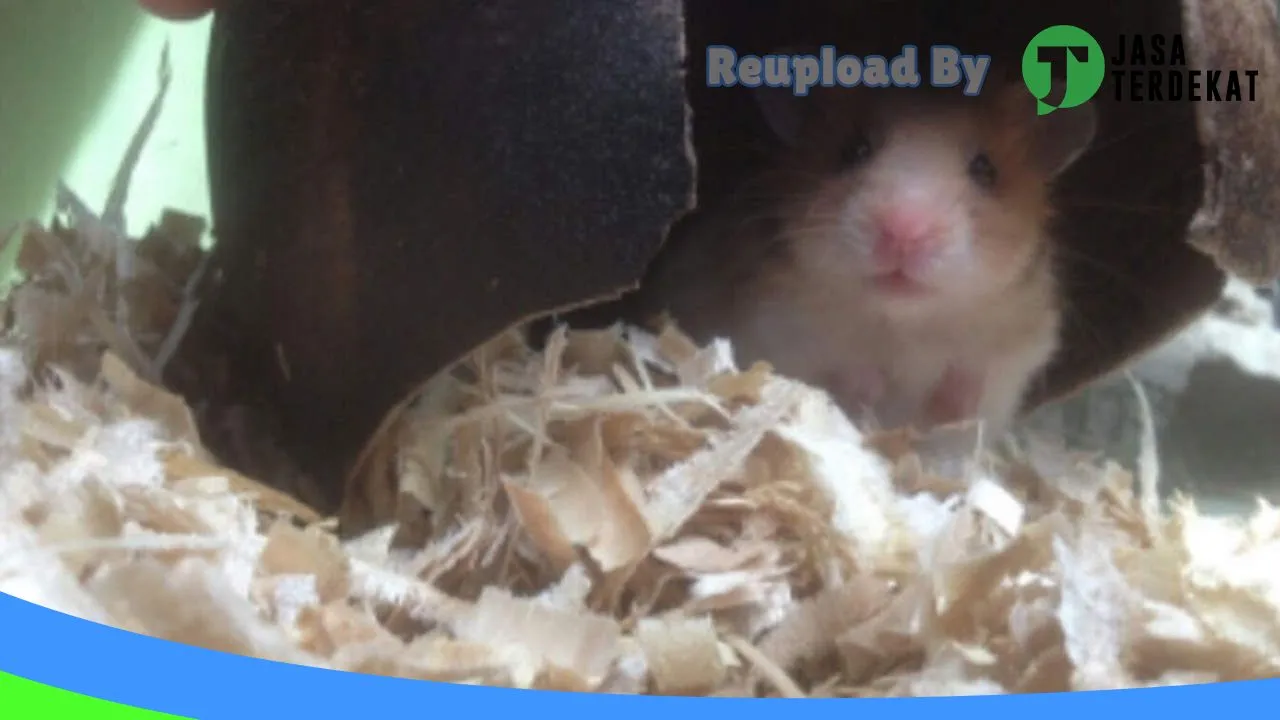 Gambar Margakaya Petshop di Pringsewu, Lampung ke 2