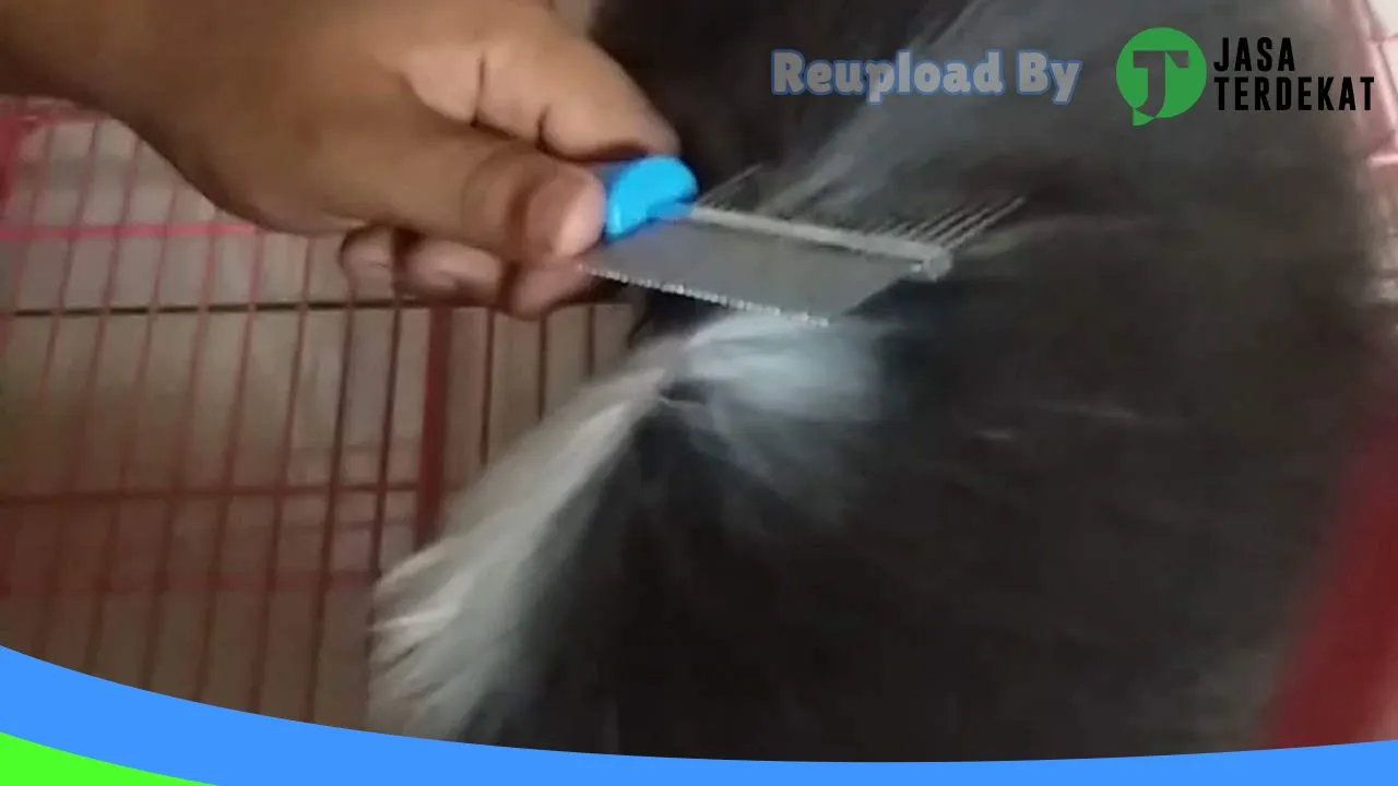 Gambar KLINIK DOKTER HEWAN CENTRA SATWA di Tebing Tinggi, Sumatera Utara ke 1