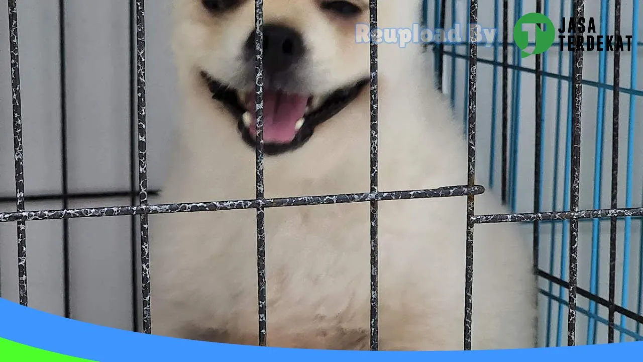 Gambar Naureen Petcare by Healthy Pet di Kota Madiun, Jawa Timur ke 1