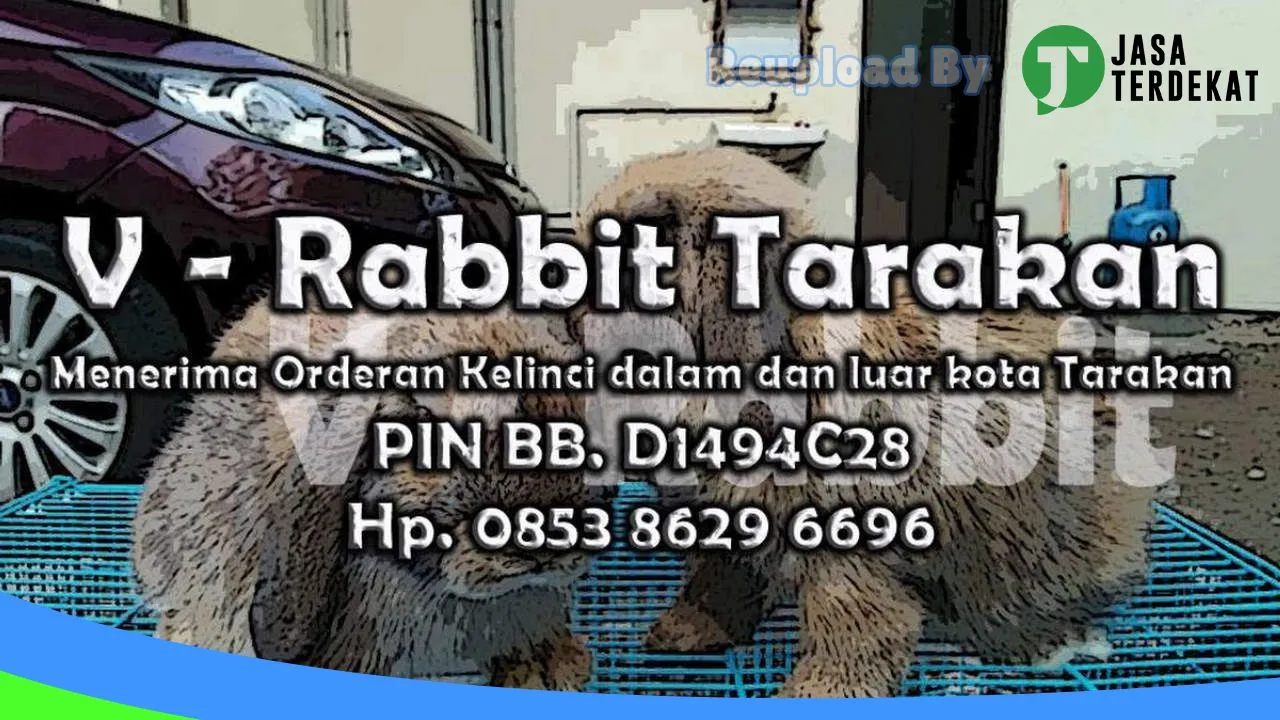 Gambar V-Rabbit Tarakan ( Jual Kelinci Tarakan ) di Kota Tarakan, Kalimantan Utara ke 1