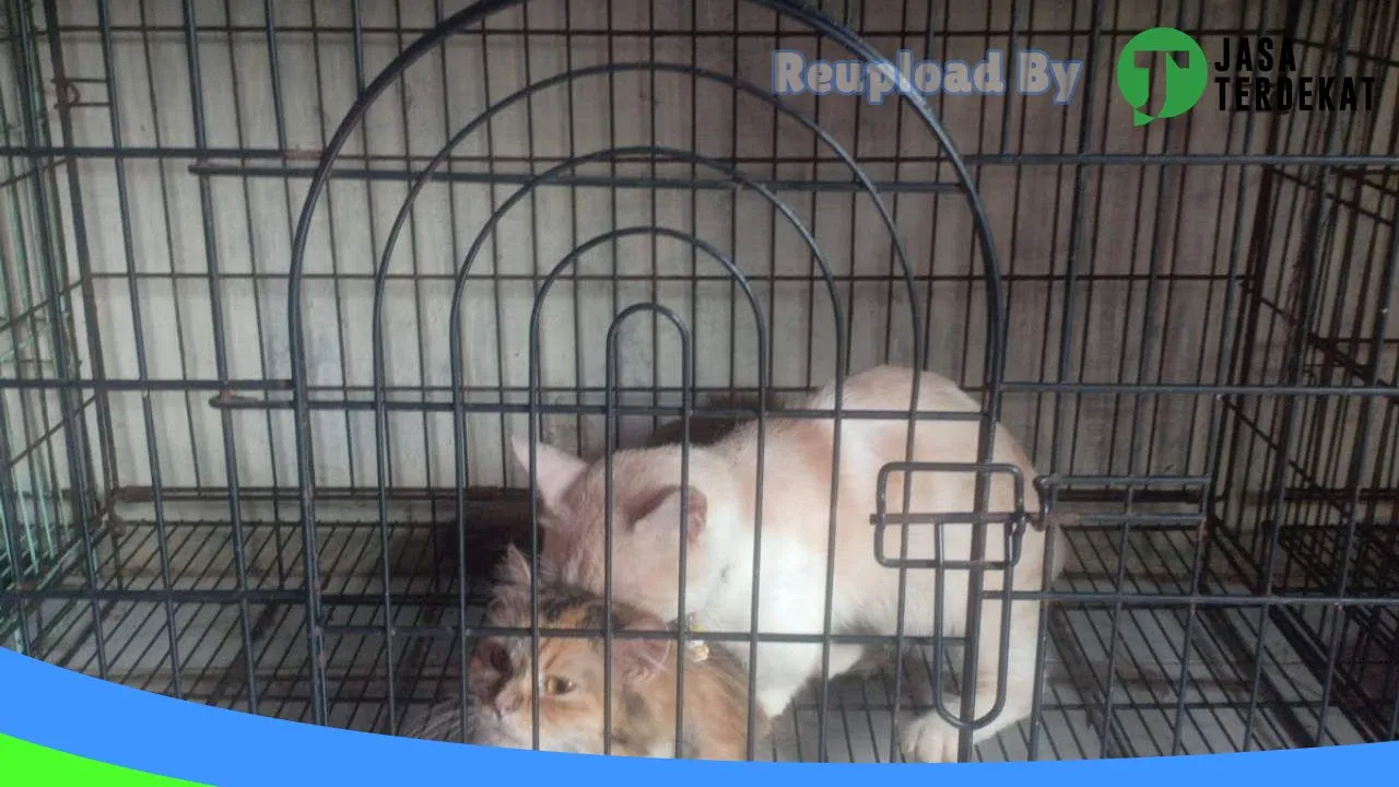 Gambar DEWI PET SHOP MEDAN di Medan, Sumatera Utara ke 3