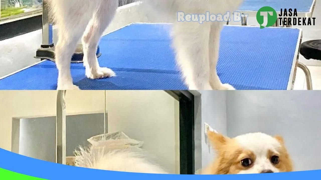 Gambar Vinz Pet House di Cianjur, Jawa Barat ke 1