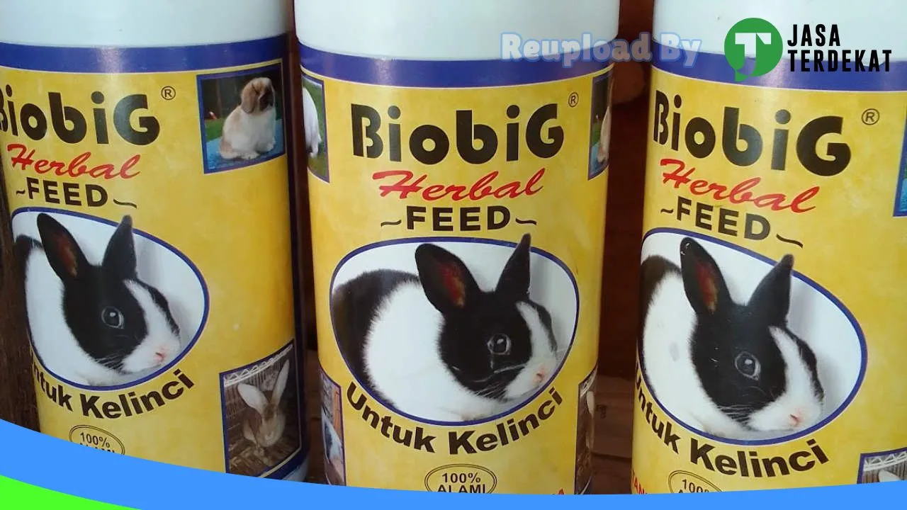 Gambar Uphyk Pondok Kelinci di Morowali, Sulawesi Tengah ke 4